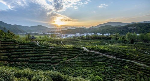 黄山市全国首单特定地域单元生态产品价值（vep）收益权质押贷款项目咨询
